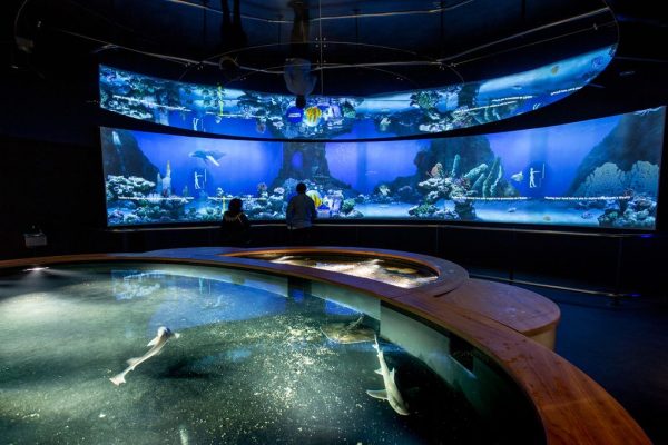 1200x680_lacitedelamer_ocean-du-futur_promesses-ocean_b.almodovar