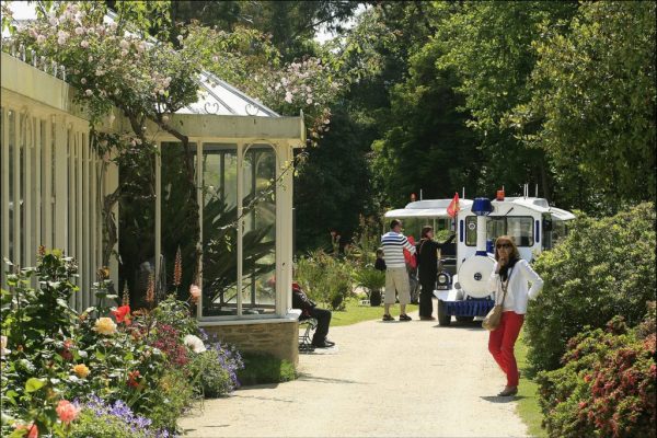 1618px-serres_du_parc_liais-1024x684