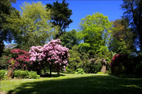21T5883-jardin-parc-emmanuel-liais-cherbourg-normandie@villedecherbourg-1024x683