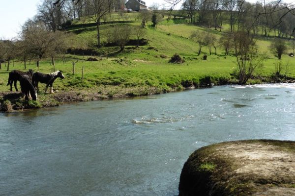 3--les-planches-Avenel-VTT